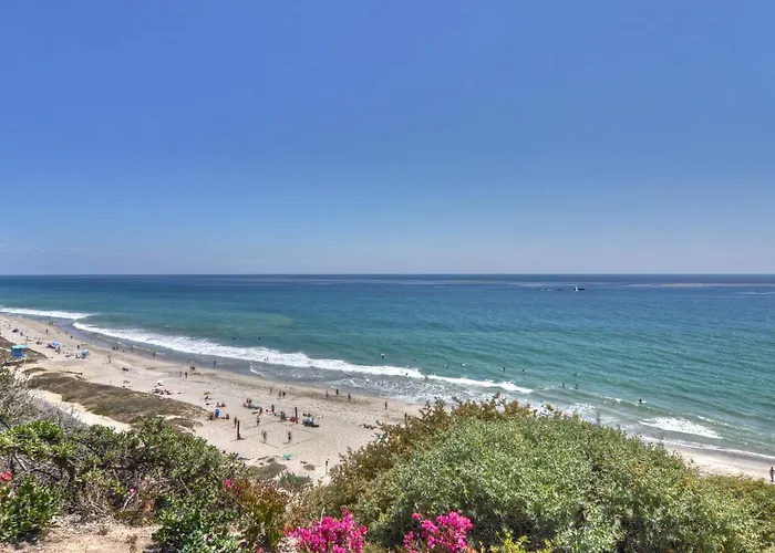 Monterey D
